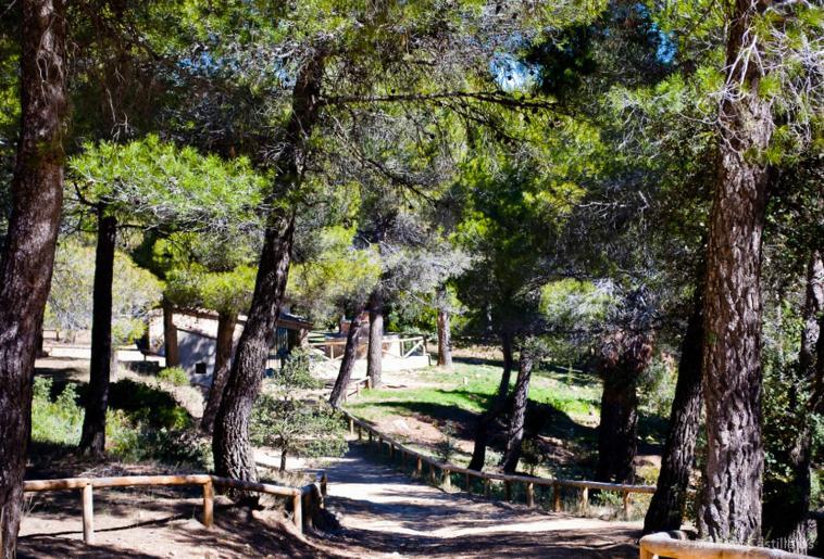 Casas Rurales Tio Segundo Carcelén エクステリア 写真
